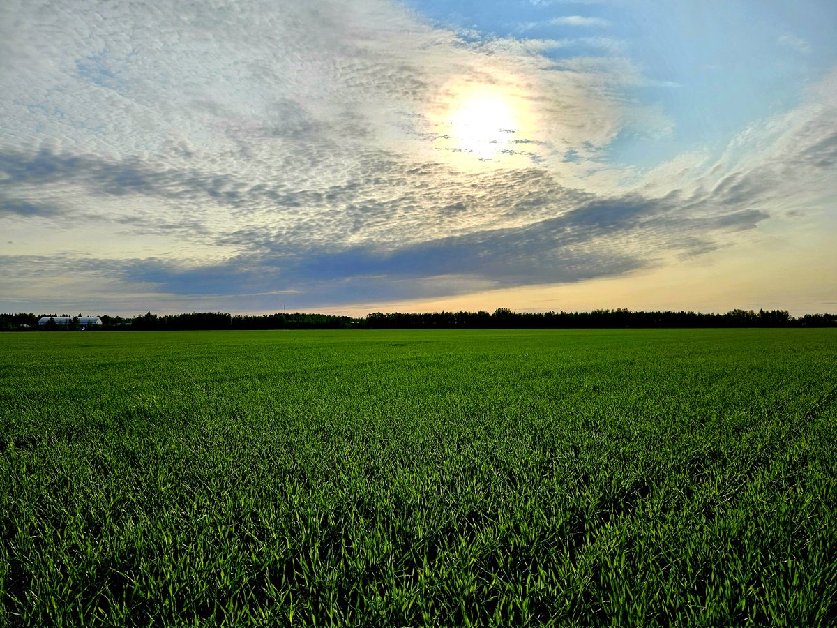 Kempele 10.6.2025. <a href="/KempeleenKunta/">Kempeleen kunta</a>