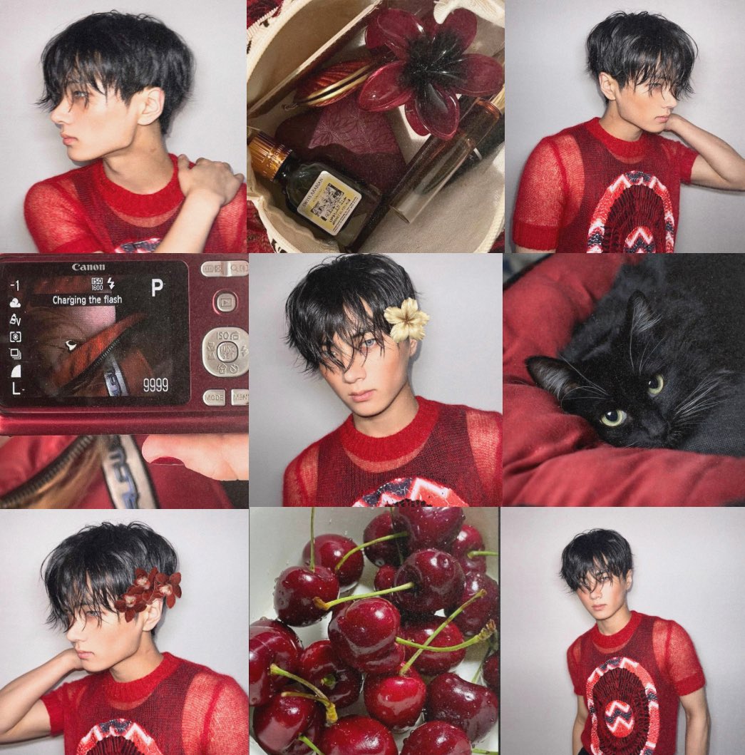 Lyn 🦢 (@jaanxoxo_) on Twitter photo 