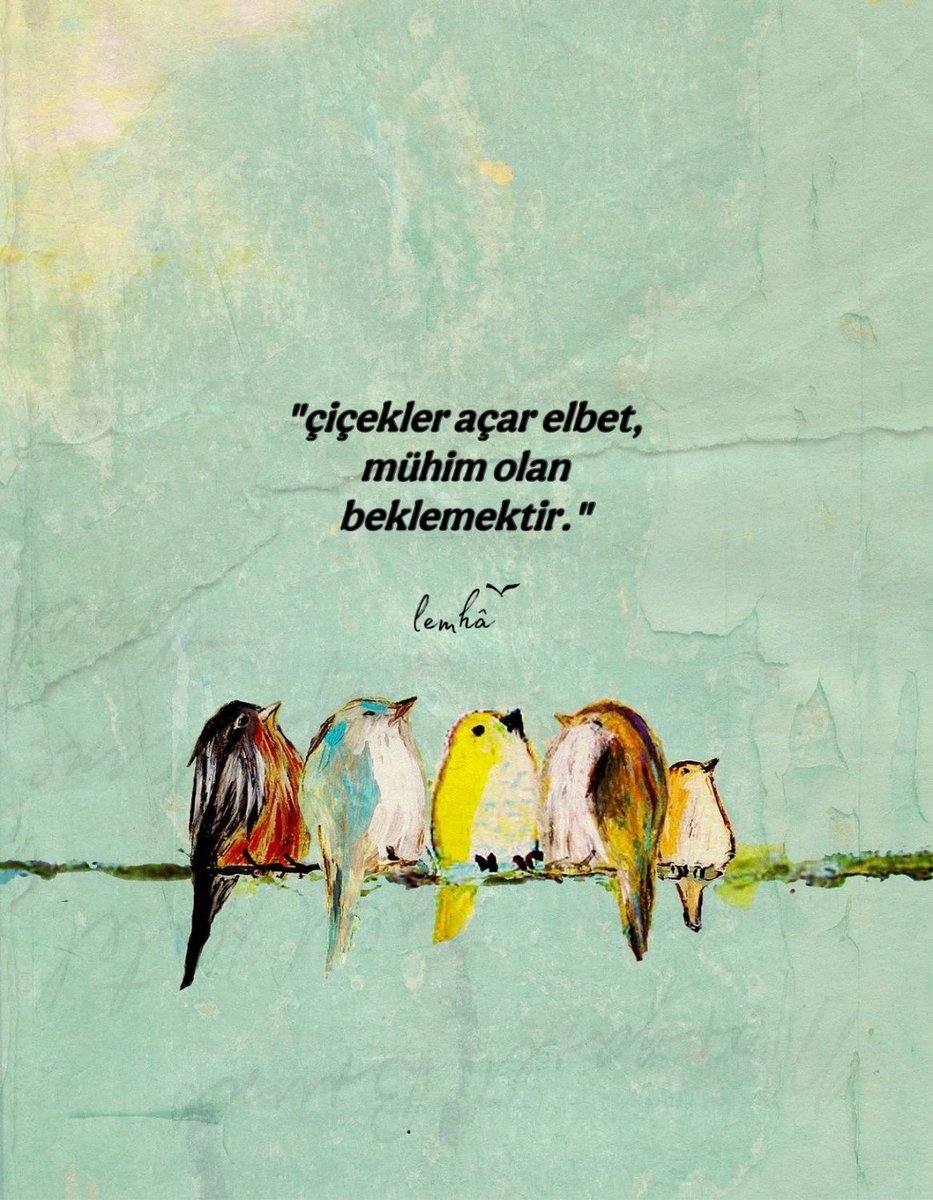 Bi’öğretmen ོ (@bi_ogretmn) on Twitter photo 