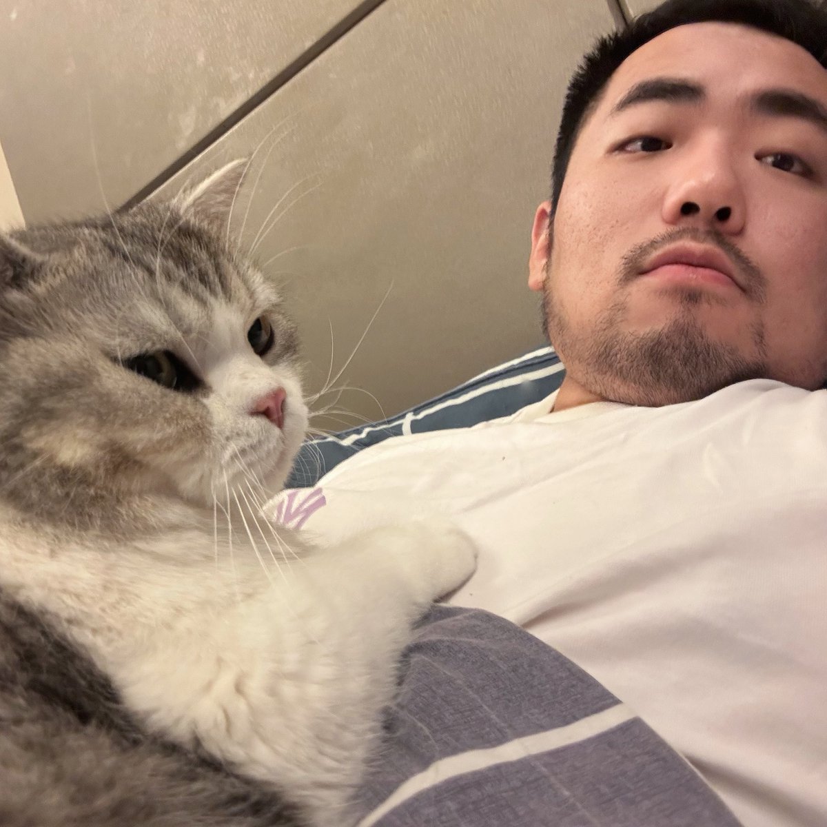 爱喝酷儿 tweet media