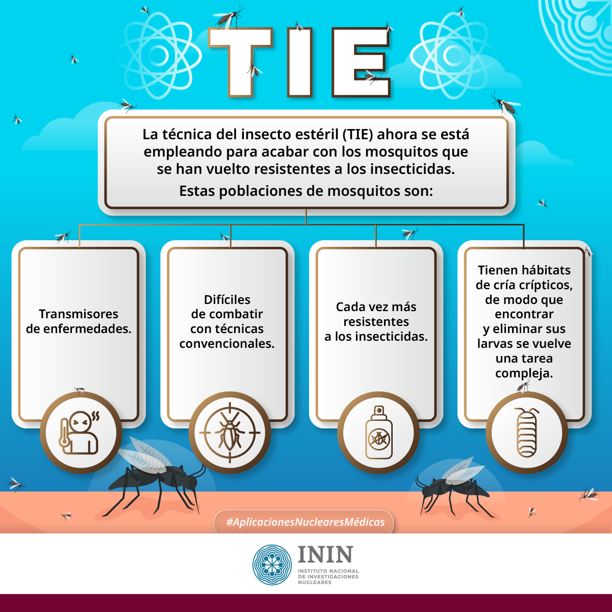 La Técnica del Insecto Estéril es un método de control de plagas, en el que se esterilizan los insectos macho con radiación gamma. Después se sueltan para que se apareen con hembras silvestres, y éstas ya no producirán descendencia. #AplicacionesNuclearesMédicas