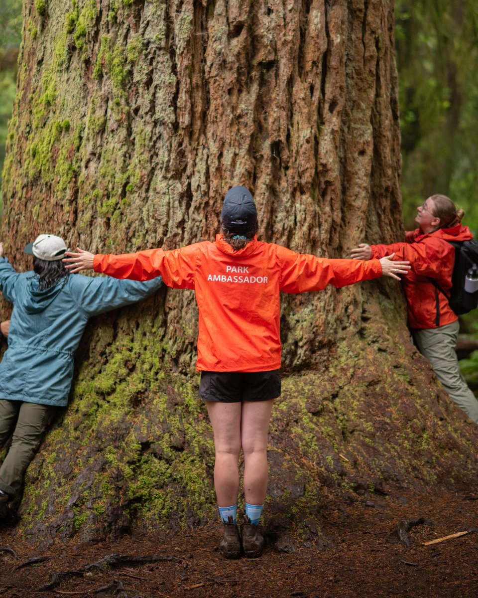 Summer’s here and our Discover Parks program is officially launching in 25 parks across BC!

This initiative brings nature closer to everyone, offering new ways to explore and connect with our breathtaking natural spaces. Whether you're a seasoned outdoor enthusiast or just