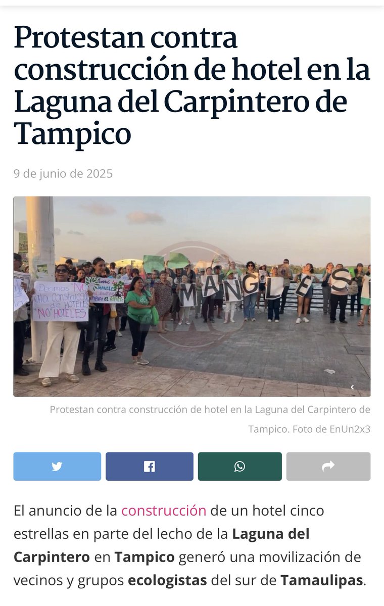 José David Bucay tweet media