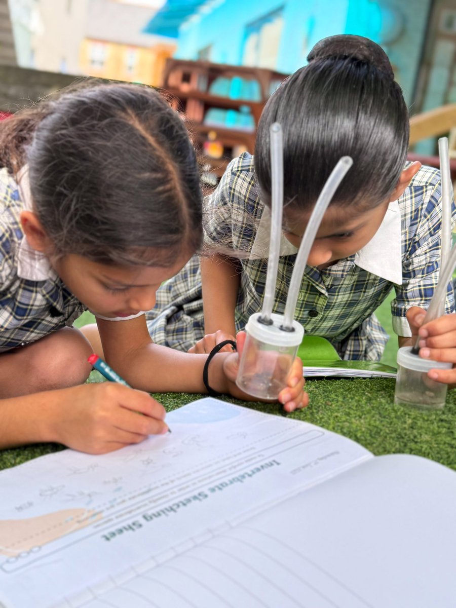 Upton House Pre Prep (@uptonpreprep) on Twitter photo Today, Form 1S spent the afternoon hunting for invertebrates! 🐛🕷️ The children showed a solid understanding of what counts as an invertebrate and loved sketching their discoveries. Nature + curiosity = the perfect combination! 🌿✍️#OutdoorLearning #LOtC <a href="/UptonSciences/">Upton House Science</a> <a href="/UptonArt/">Upton House Art</a> Today, Form 1S spent the afternoon hunting for invertebrates! 🐛🕷️ The children showed a solid understanding of what counts as an invertebrate and loved sketching their discoveries. Nature + curiosity = the perfect combination! 🌿✍️#OutdoorLearning #LOtC <a href="/UptonSciences/">Upton House Science</a> <a href="/UptonArt/">Upton House Art</a>