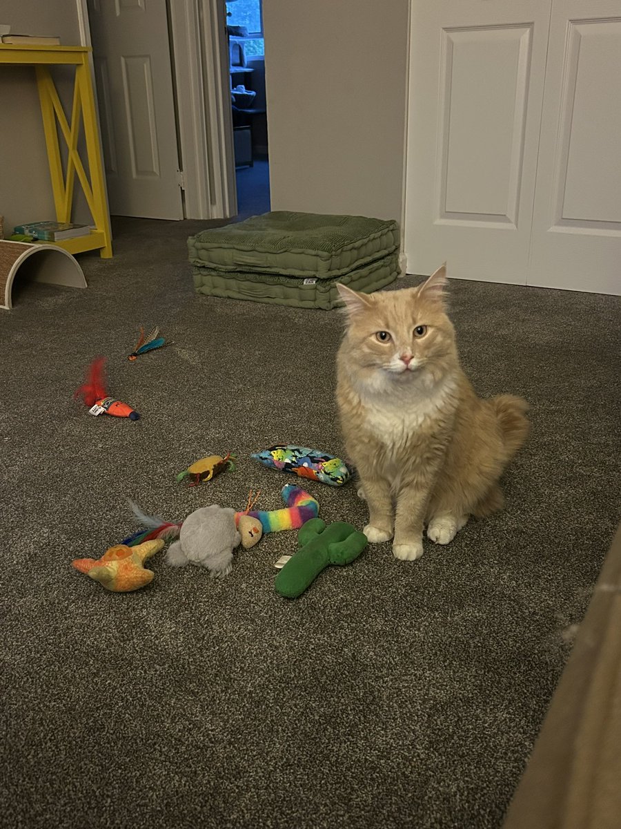 ShrimpTeddy's tweet image. me posing with my toys like men with their fish on hinge