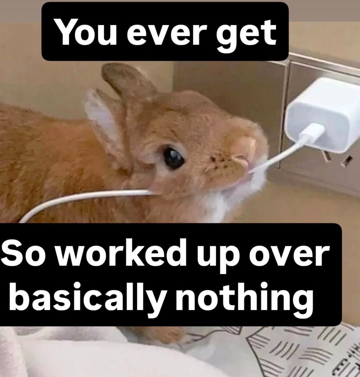 ShitpostGate's tweet image. 