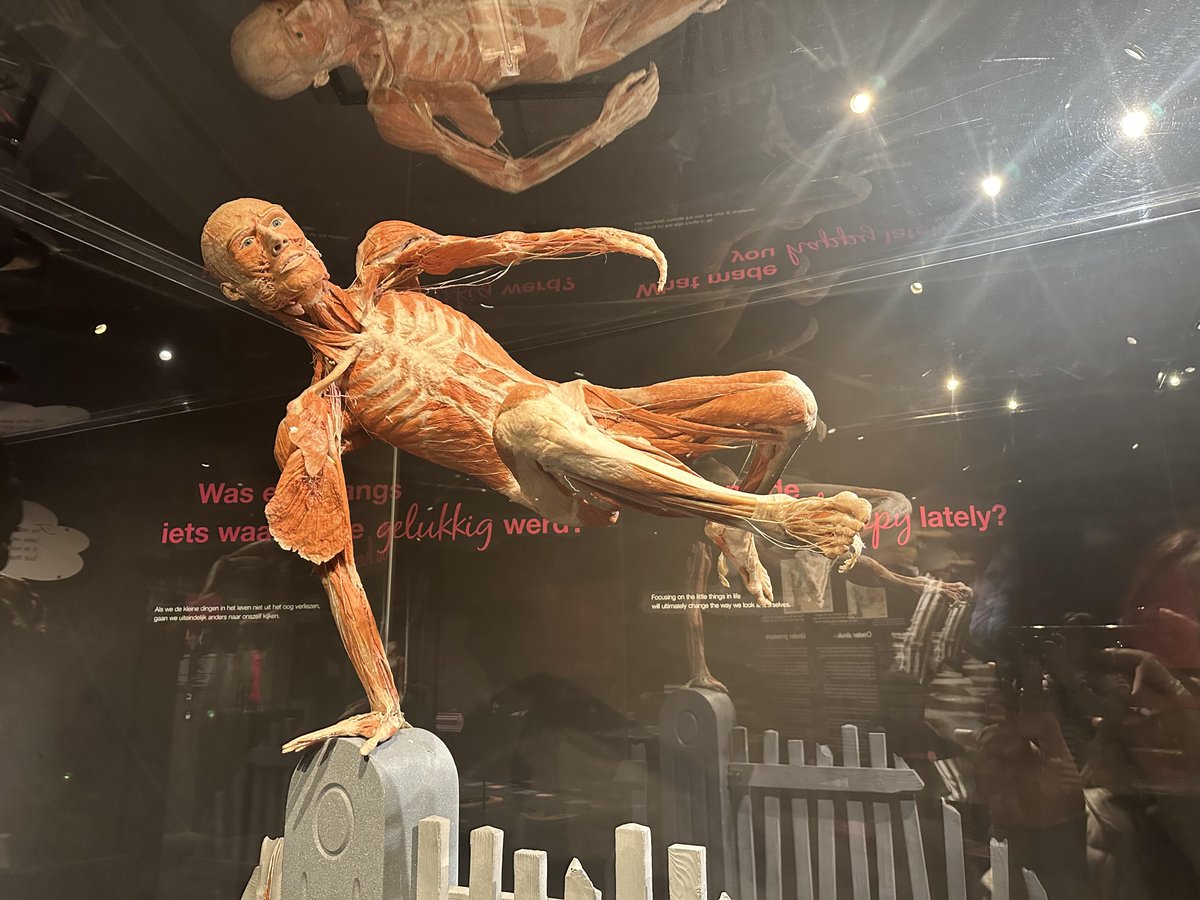 Lean6546's tweet image. Discover the art of the human body! 🧠💪