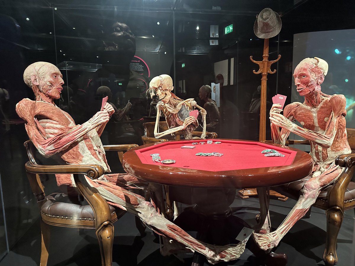 Lean6546's tweet image. Discover the art of the human body! 🧠💪