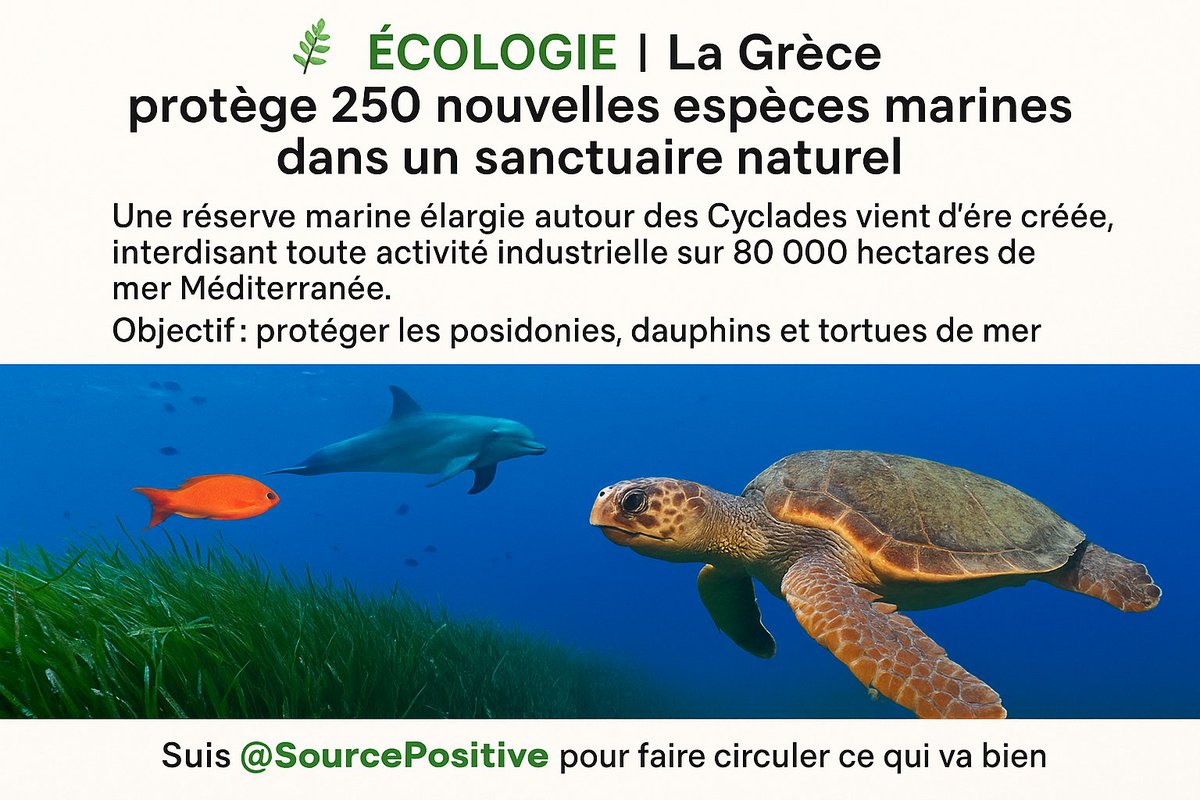 SourcePositive's tweet image. 🌿ÉCOLOGIE | La Grèce protège 250 nouvelles espèces marines dans un sanctuaire naturel.
#Écologie #Biodiversité #Océan #Climat #MondeEnMarche