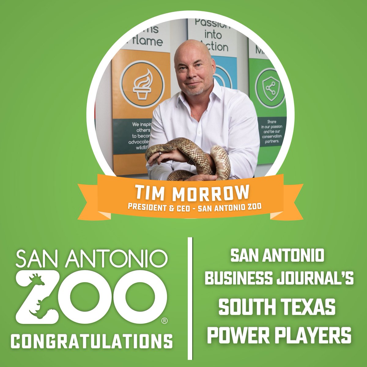 San Antonio Zoo 🦍 (@sanantoniozoo) on Twitter photo San Antonio Zoo is proud to announce that our very own President & CEO <a href="/MananaZoo/">Tim Morrow</a> has been named one of 2025 South Texas Power Players by <a href="/SABizJournal/">San Antonio Business Journal</a>
Tim’s vision to take San Antonio Zoo to new heights includes over $160 million of zoo improvements since his arrival. Over San Antonio Zoo is proud to announce that our very own President & CEO <a href="/MananaZoo/">Tim Morrow</a> has been named one of 2025 South Texas Power Players by <a href="/SABizJournal/">San Antonio Business Journal</a>
Tim’s vision to take San Antonio Zoo to new heights includes over $160 million of zoo improvements since his arrival. Over