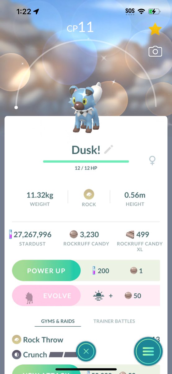 MasterBall603's tweet photo. My best level 1 catches this weekend 👀✨🍀🎉 #Pokemon #PokemonGo #PokemonGoFest2025 #RareShiny https://t.co/2QcbBAS81Q