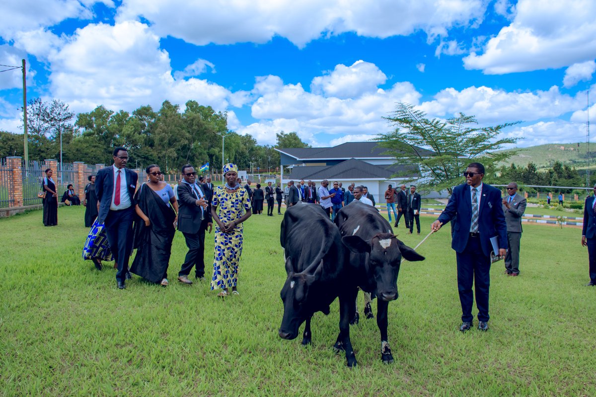Abakirisito b'itorero ry'Abadiventisite b'umunsi wa karindwi bo muri Filidi y'Amajyaruguru y'Iburasirazuba bw'u Rwanda, baroje inka 2 abarokotse Jenoside yakorewe abatutsi mu rwego rwo kubafasha kugira imibereho myiza. 2/2