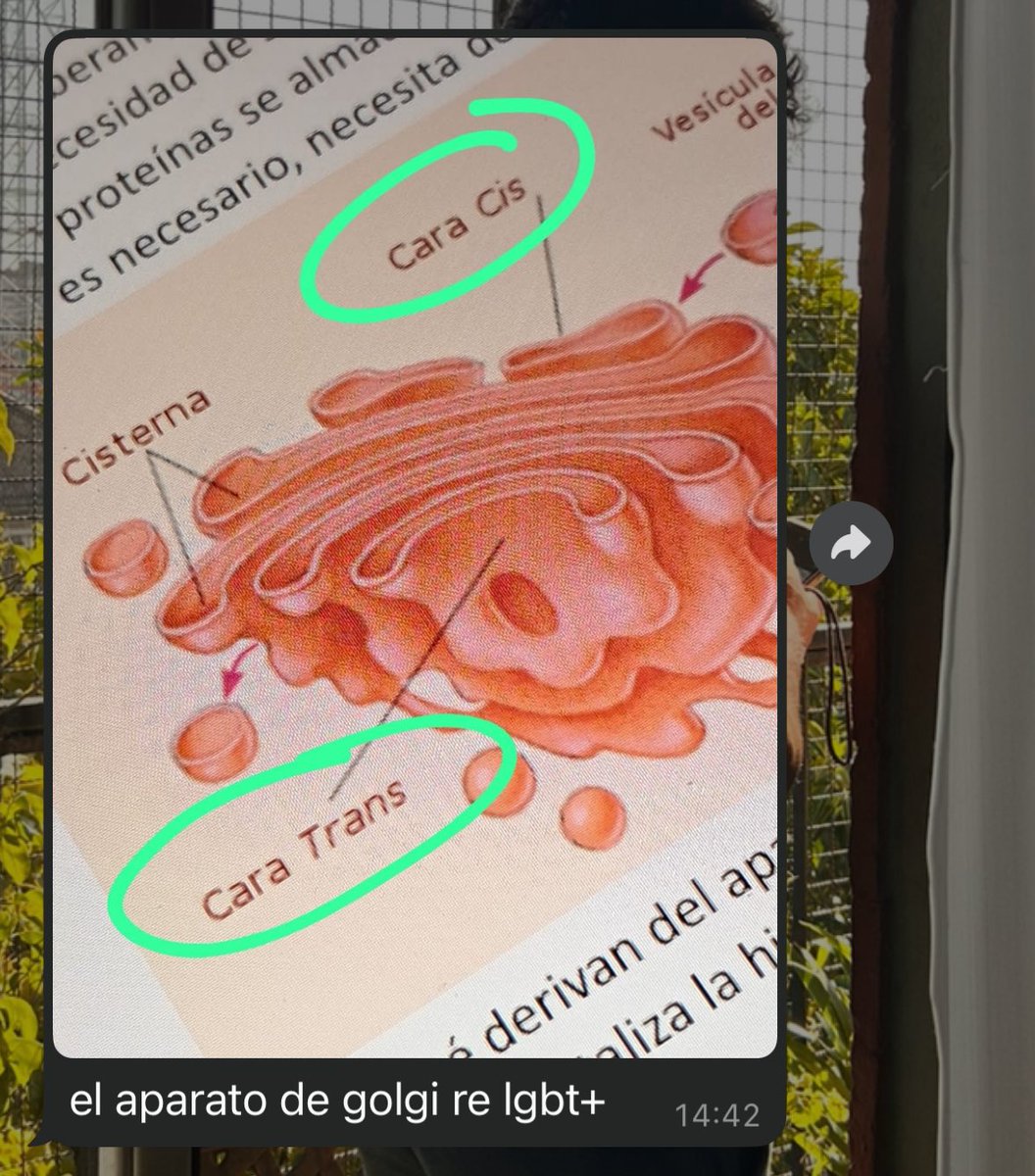 mi hermana está estudiando biologia