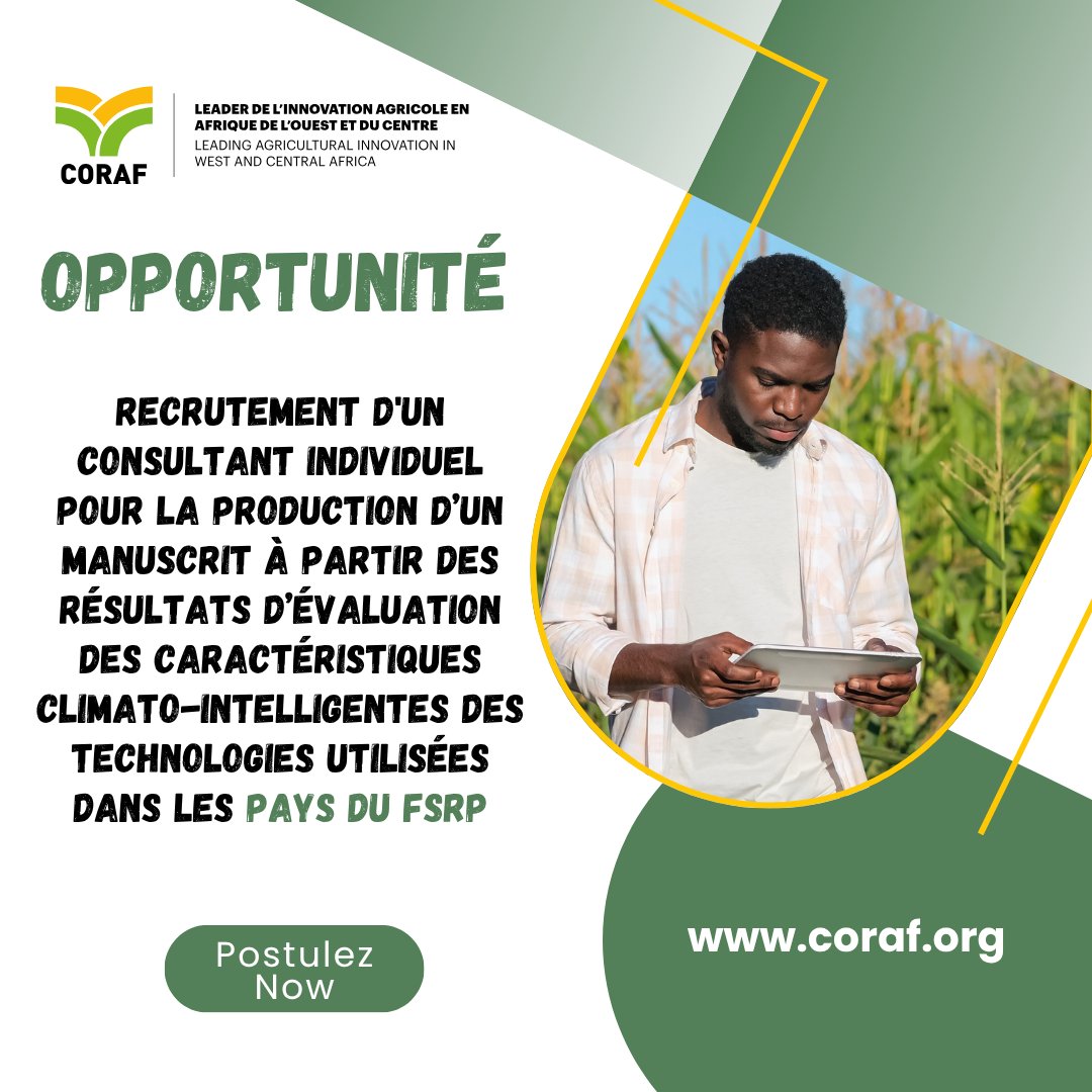 Êtes-vous un(e) expert(e) en rédaction scientifique et adaptation au climat ? 

<a href="/CORAFNews/">CORAF</a> recrute un(e) consultant(e) pour valoriser les résultats du #FSRP à travers un manuscrit sur les technologies climato-intelligentes.

📅 Deadline: 24/06/2025 
👉🏾 bit.ly/43SqKZd