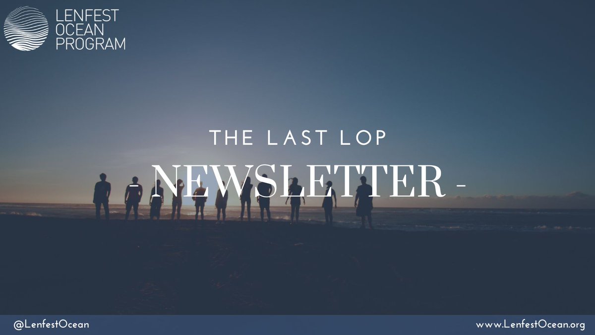 As we share our final newsletter, we want to thank all who have engaged with the Lenfest Ocean Program over the years.

This issue looks back at the lessons, partnerships, and progress made—and the work still ahead.

mailchi.mp/4a8e25d22110/l…