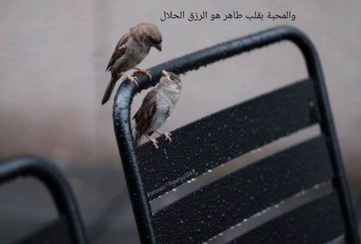 "Saf bir sevgiye denk gelmekte helal rızıktır."