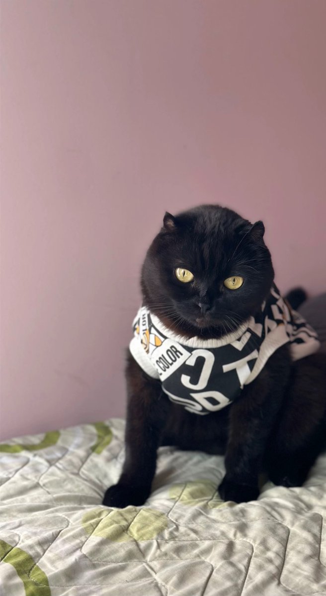 Lokim biriciğim evimizin ilk göz ağrısı senden asla vazgeçmeyeceğim bir an bile aklımdan çıkmıyorsun kara çocuğum 🖤 Deprem günü yarım bıraktığın mama kabına bile dokunamadık ne olur geri dön