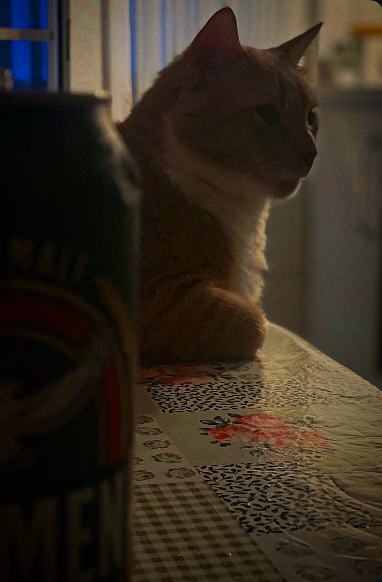 Bremen sponsorluğunda hayata boş boş bakış <a href="/Efes/">EFES</a> #FerdiZeyrek