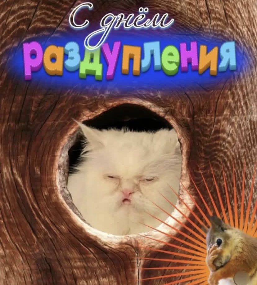 лёня бантиков tweet media