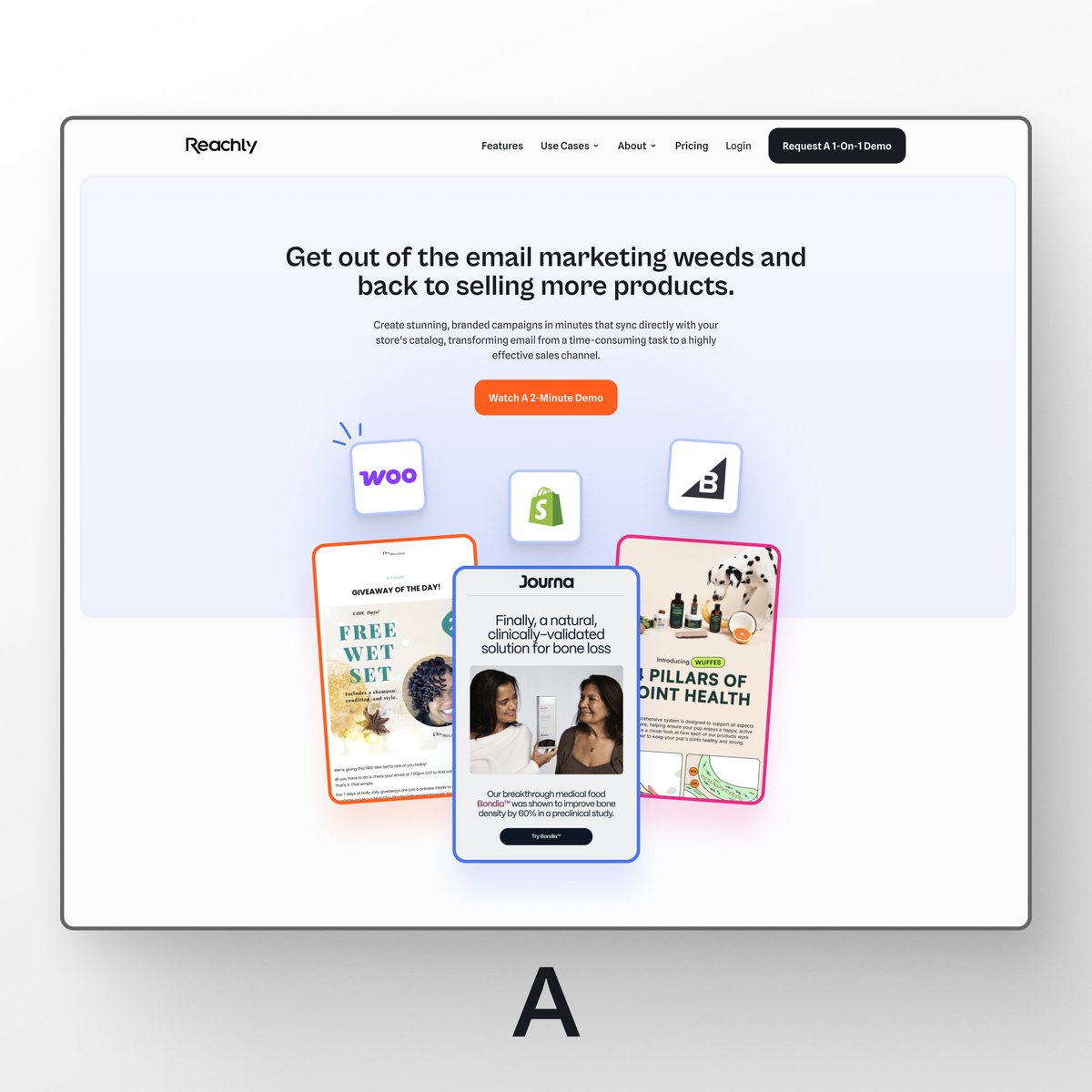 Nicholas Arce tweet media