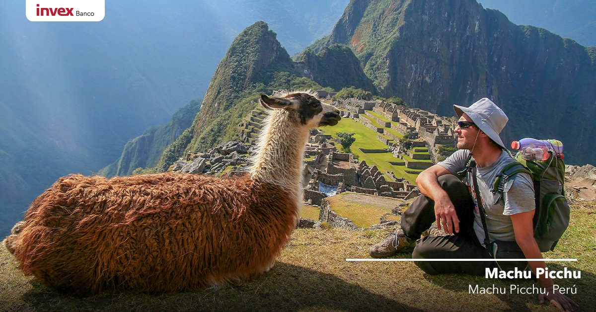 Wivboost tweet media