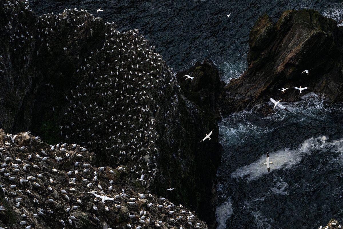 John Moncrieff tweet media