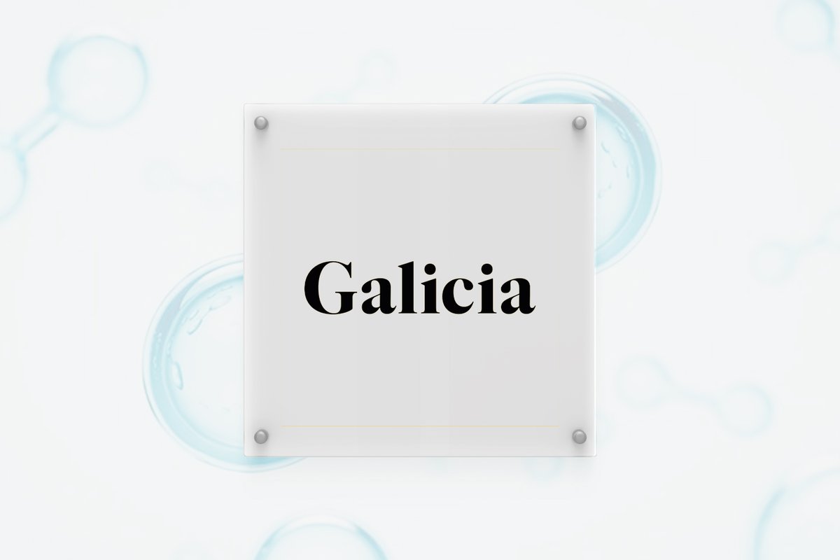 MexicoHidrogeno's tweet photo. En la Asociación Mexicana de Hidrógeno le damos la bienvenida a nuestro nuevo asociado #GaliciaAbogados. Juntos seguiremos creando un #PresenteVerde #GreenHydrogen #NetZero #Power2X #CleanEnergy #SustainableMobility https://t.co/XI2r4ehD3x