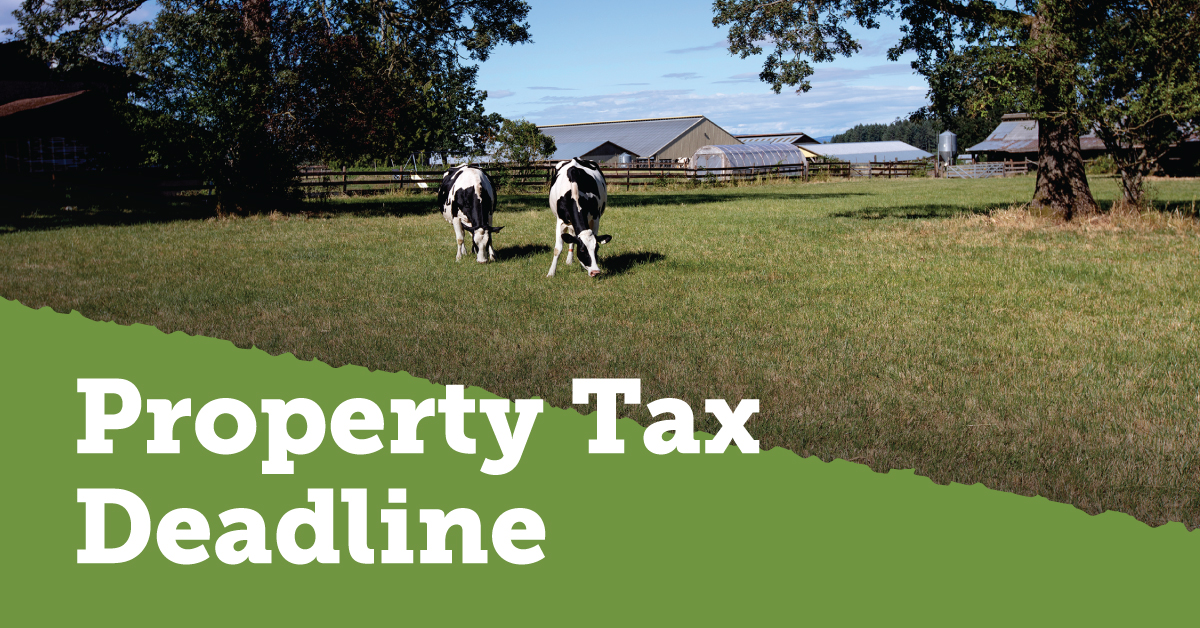 Property Taxes are due by July 2, 2025.

👉 Payment options: northsaanich.ca/property-tax-p…

Penalties &amp; Interest: northsaanich.ca/services/prope…

Claiming your Home Owner Grant?
📞 1-888-355-2700
🔗gov.bc.ca/homeownergrant

Deferring your taxes?
📞 1-888-355-2700
🔗gov.bc.ca/propertytaxdef…