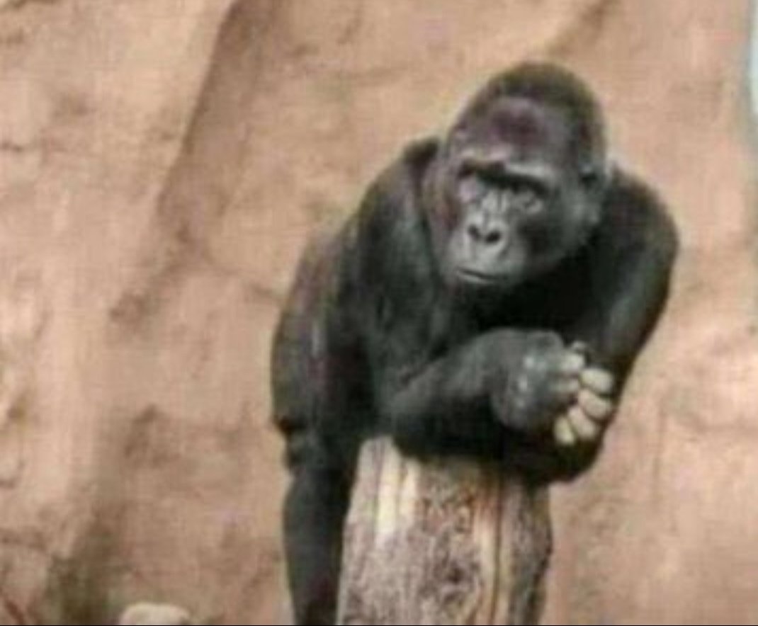 Kyeyune Alosyious (@kyeyunealoy) on Twitter photo Us without cars looking at people busy talking about 30 Km/hr
๐คฆ๐คฆ๐คฆ
<a href="/Duke_of_kitende/">Duke Of Kitende ๐บ๐ฌ ( MP Busiro South 2031 ) ๐ธ</a> <a href="/CollinsNick19/">COLLINS N</a> <a href="/Gad_lee/">Gad W. Bizimana</a> <a href="/JaleMorgan3/">Jale Morgan ๐ธ</a> <a href="/MulongoSports1/">Mulongo Sports</a> Us without cars looking at people busy talking about 30 Km/hr
๐คฆ๐คฆ๐คฆ
<a href="/Duke_of_kitende/">Duke Of Kitende ๐บ๐ฌ ( MP Busiro South 2031 ) ๐ธ</a> <a href="/CollinsNick19/">COLLINS N</a> <a href="/Gad_lee/">Gad W. Bizimana</a> <a href="/JaleMorgan3/">Jale Morgan ๐ธ</a> <a href="/MulongoSports1/">Mulongo Sports</a>