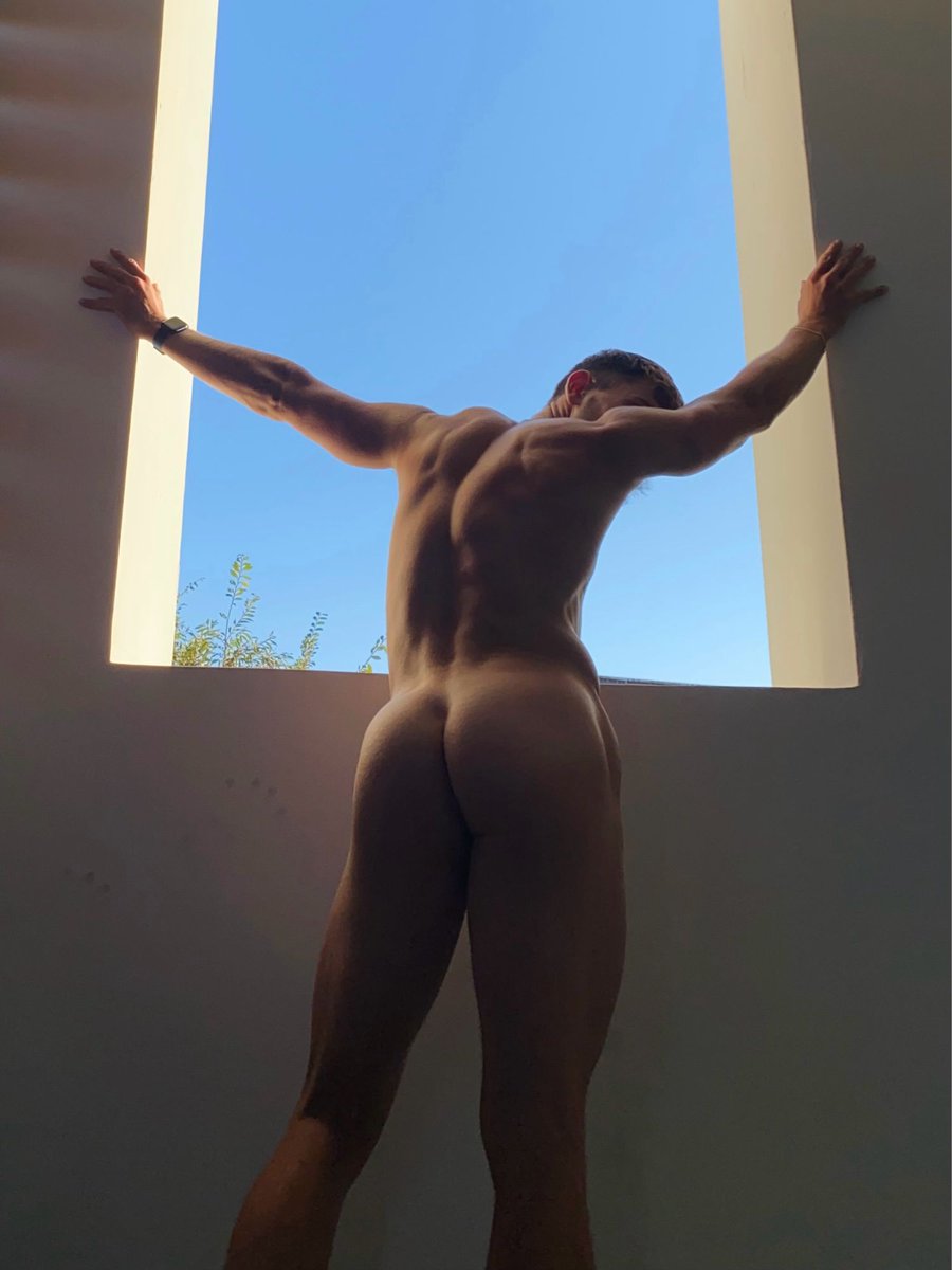 everything the light touches ☀️