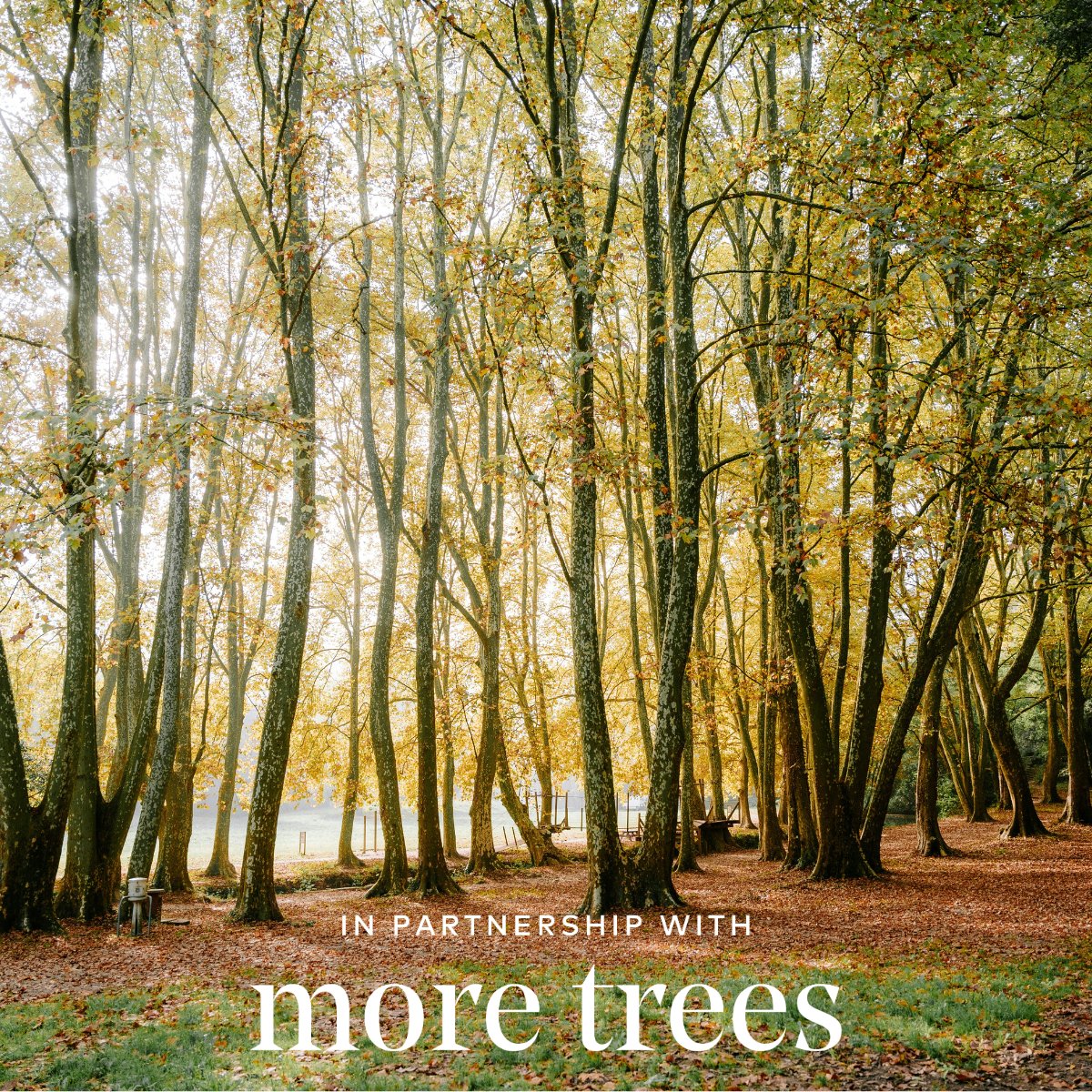 Thank you to everyone who stopped by our stand at <a href="/scilorg/">SCIL</a>'s Conference and Exhibition Day 2025! It was fantastic connecting with so many of you.

For every business card and contact we received, we're planting a tree on your behalf as part of our #NetworkingForNature initiative.