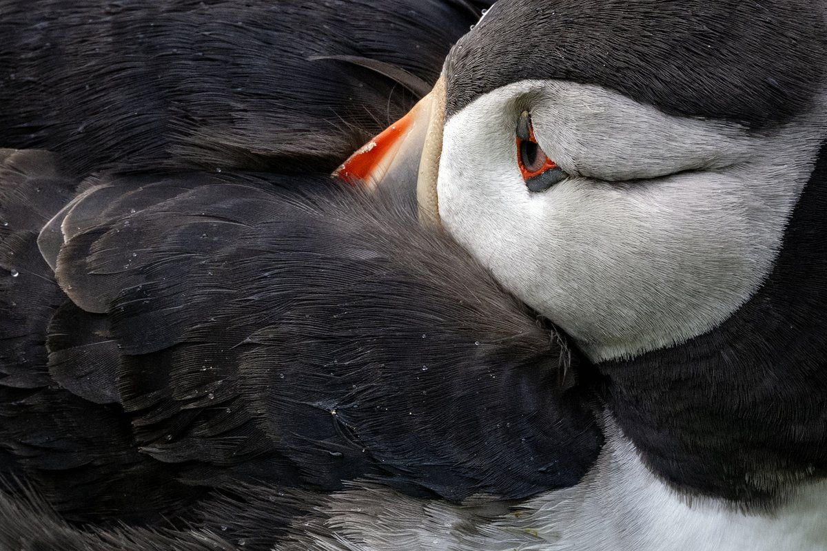 John Moncrieff tweet media