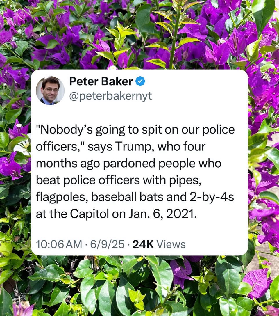 #NoKings #NoKingsProtest #NoKingsDay #TrumpisaNationalDisgrace