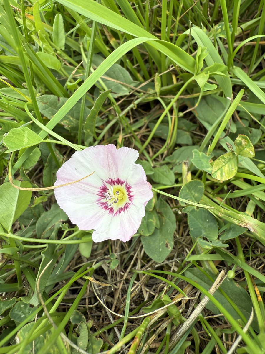 markswalking tweet media