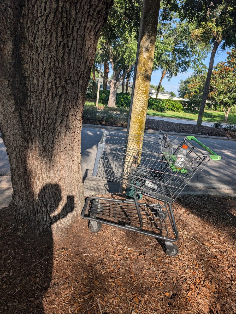 Andrew Thomas tweet media