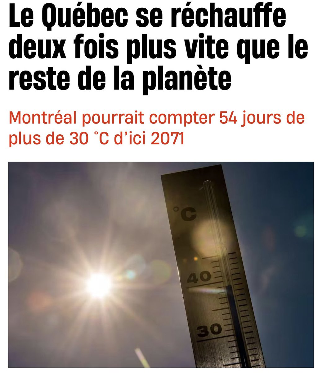 Mister White 🏴☠️ tweet media