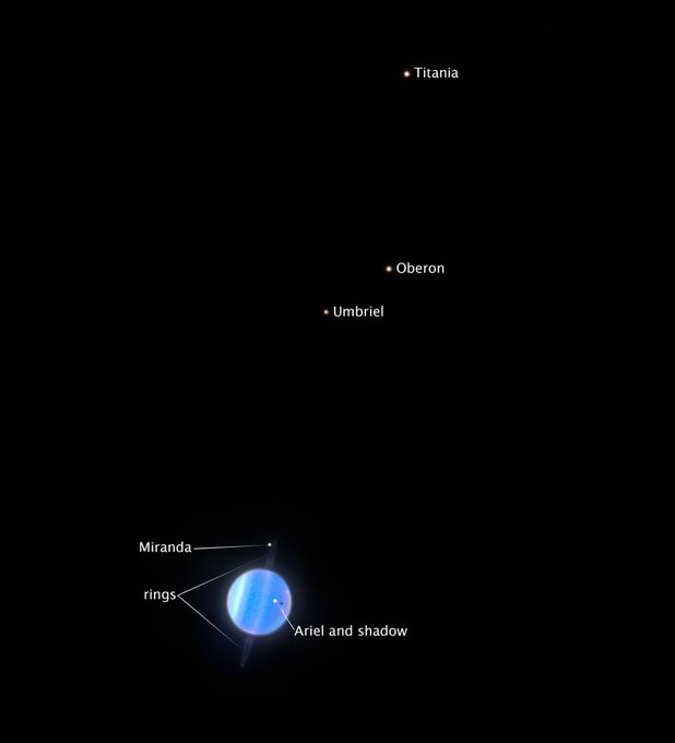 Four small, white dots appear widely spaced in a steep, roughly jagged, diagonal line from top right to bottom left. These white dots appear against a solid black background. A fifth small, white dot is superimposed on a much larger blue sphere, which is also on the black background. This medium-blue sphere has pink, white, and lighter blue diagonal striations. Also superimposed on this striated sphere is a tiny black dot, which is just to the right and slightly beneath the white dot. Encircling the blue sphere at the same steep diagonal angle as the white dots and striations are thin, ghostly, white, Saturn-like rings. The four white dots are labeled, from top right to bottom left, “Titania,” “Oberon,” “Umbriel,” and “Miranda.” The white dot and its accompanying black dot, which are both superimposed on the blue sphere, are labeled “Ariel and shadow.” The faint, Saturn-like rings encircling the blue sphere are labeled simply “rings.”