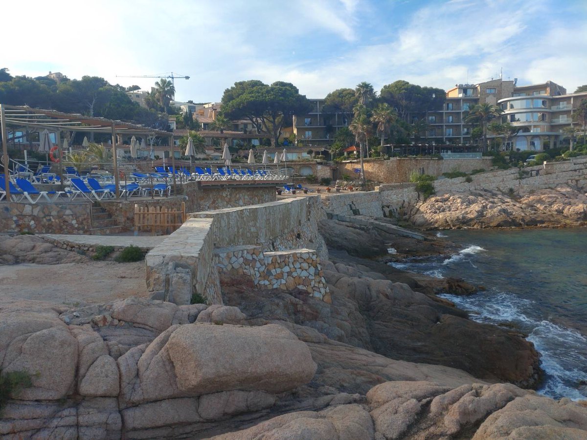 GroupAzuma's tweet image. 4 days of intensive scientific discussion, supplemented with good food and wine, at a beautiful coast-side village in Cataluna. #EMBOPhysicalVirology @EMBOevents @EMBO @FEBSnews
