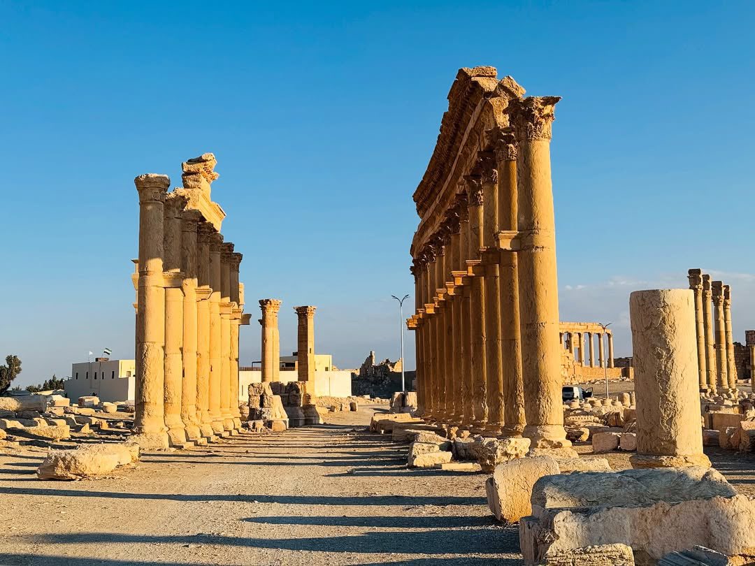 عروس الصحراء تدمر 🤎