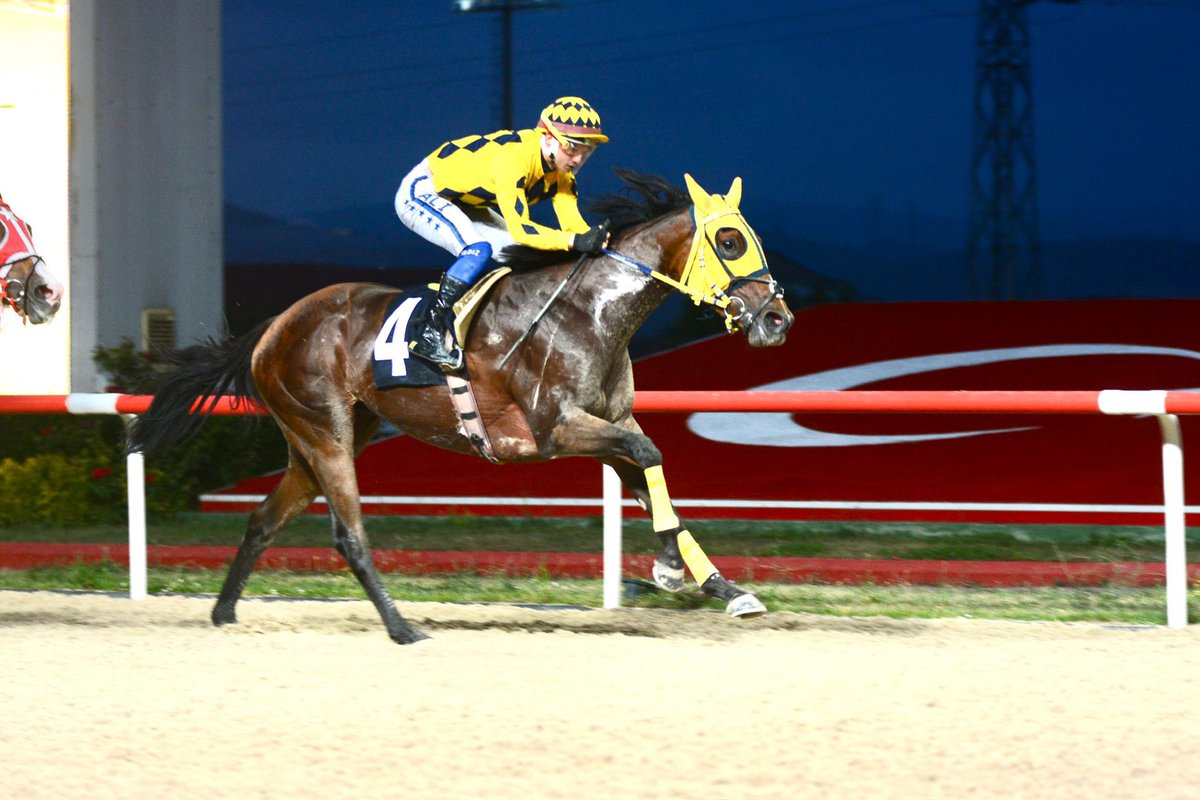Cem Diler (@cemdiler) on Twitter photo Onun adi Bode a Winner yani KAZANACAK! Ekibe ve jokeyimiz Ali'ye ❤️❤️🧿🧿 <a href="/baoluhakan11/">başoğlu @hakan 1</a> Onun adi Bode a Winner yani KAZANACAK! Ekibe ve jokeyimiz Ali'ye ❤️❤️🧿🧿 <a href="/baoluhakan11/">başoğlu @hakan 1</a>
