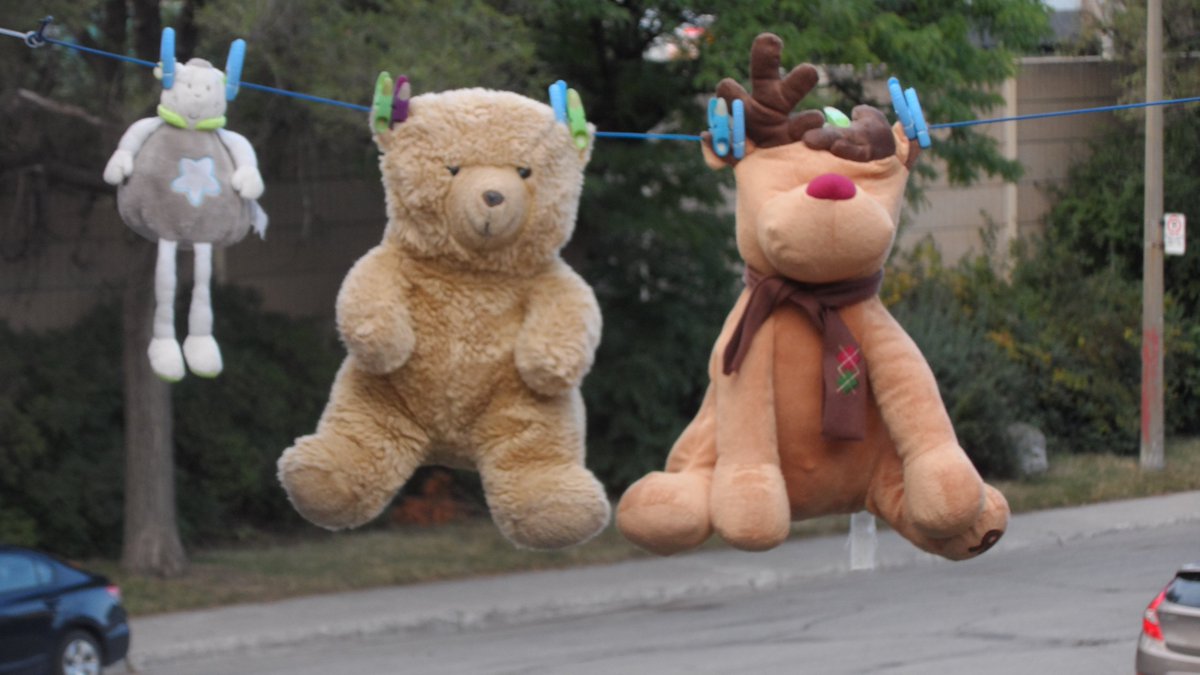 RavenFlight8's tweet image. 