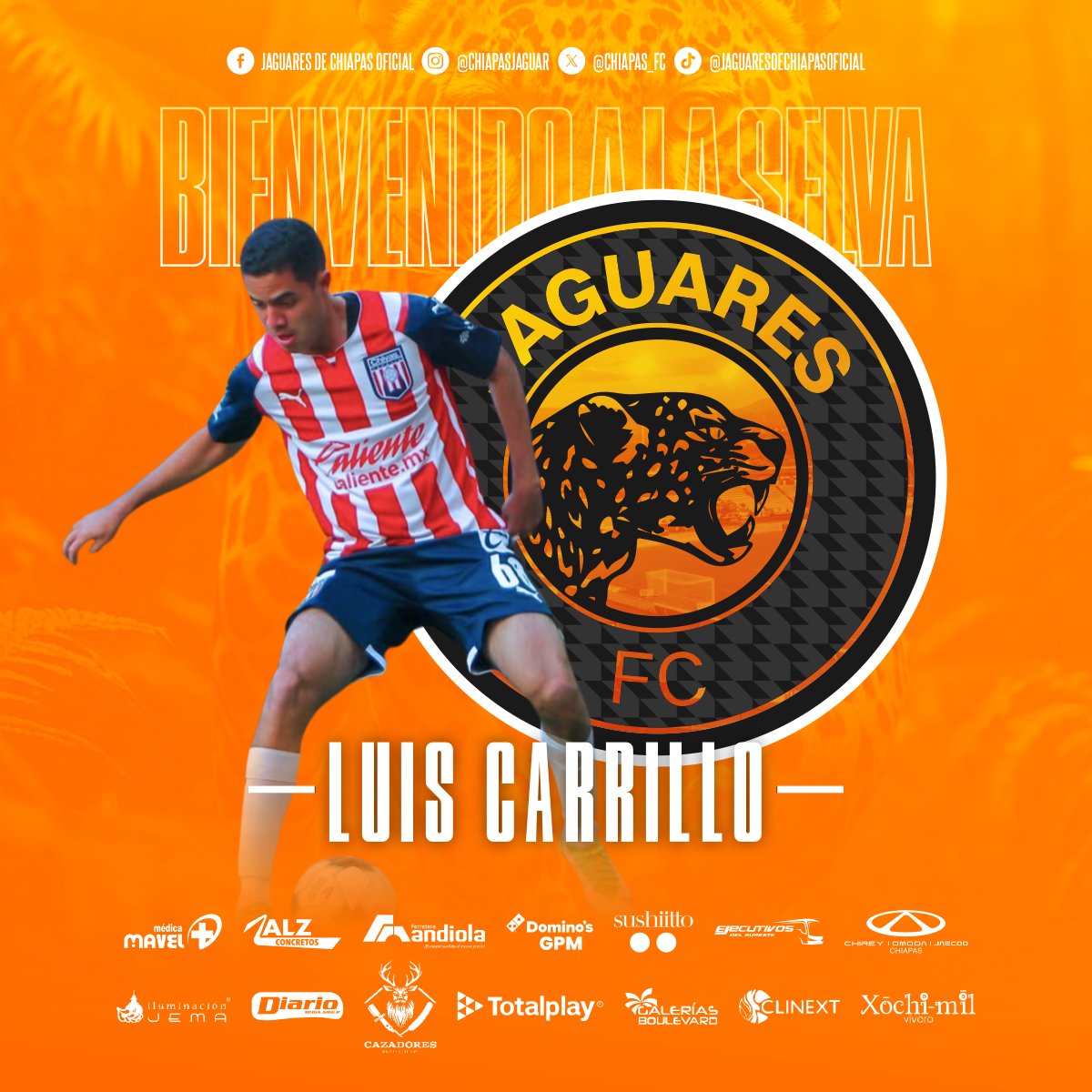 🎉 ¡Nuevo refuerzo para Jaguares de Chiapas! 🎉

🆕 Luis Ángel Carrillo Gutiérrez
📅 Edad: 22 años (30 de julio de 2002)
📏 Altura: 1.80 m
⚽ Posición: Lateral izquierdo / Defensa central

¡Bienvenido a la manada!