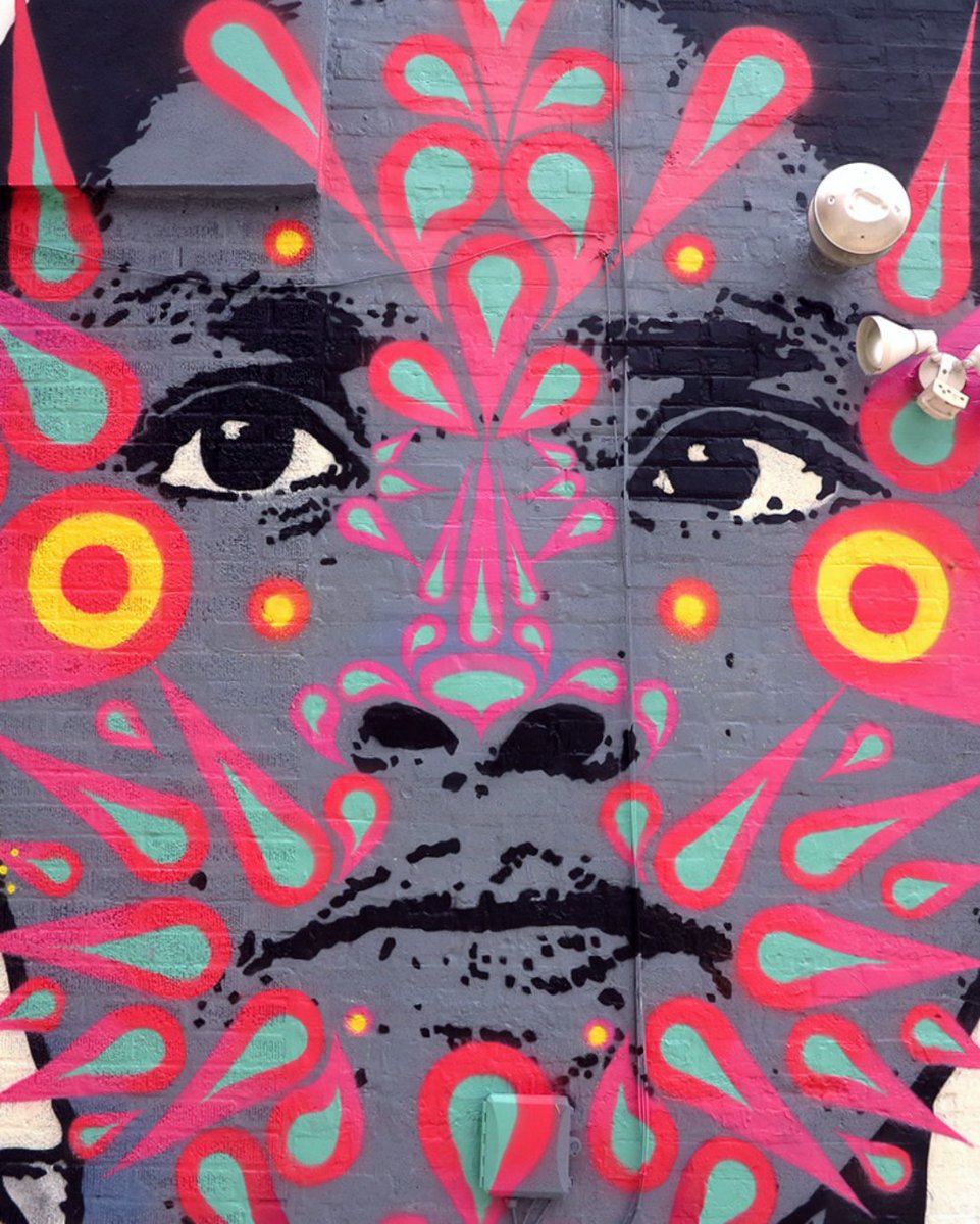 stinkfishstink's tweet image. Chicago / Junio 2025 / @verticalgallery #stinkfish