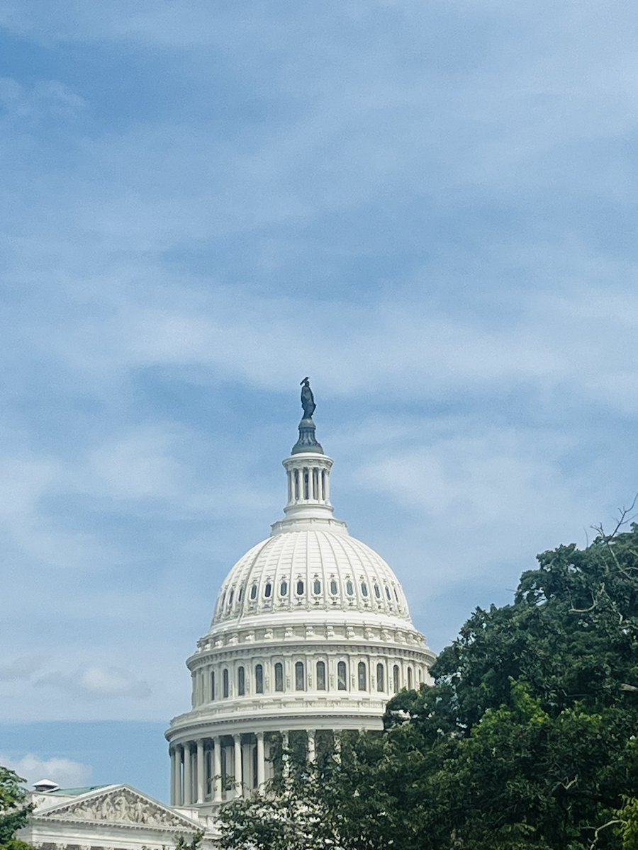 Light24sky's tweet photo. June is Brain Health and Alzheimer’s Awareness Month. I am privileged to attend the Alzheimer’s Impact Movement Forum a second time to advocate for persons living with Alzheimer’s and other forms of Dementia. Remember to protect your brain health. #alzfl #ENDALZ #alzforum https://t.co/HsW05b8umg