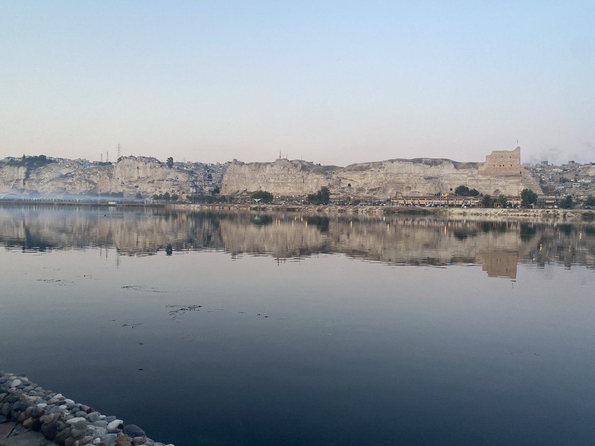 WhitleyBirder's tweet image. Turkey trip still going strong, and it’s been a brilliant couple of days birding along the mighty Euphrates River. Some WP gold seen in Iraq Babbler, Red-wattled Lapwing, See-see Partridge and Pallid Scops Owl, amongst many other highlights!