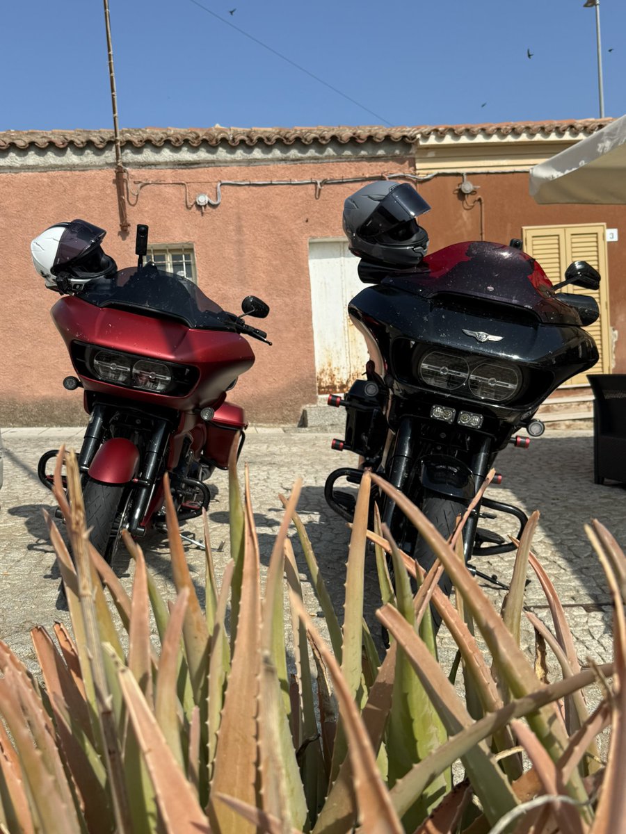 Ivan Smiljkovic tweet media