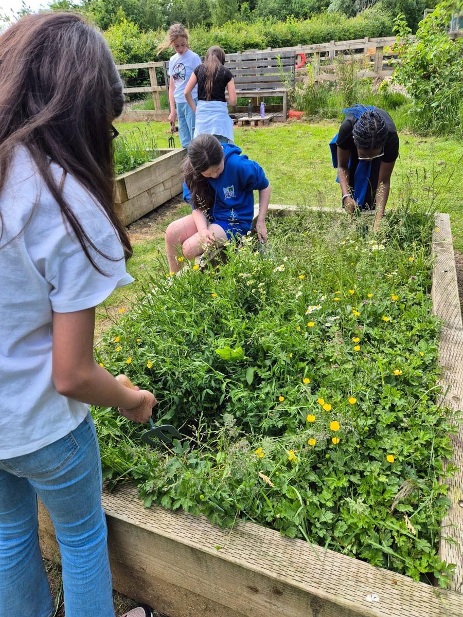 StGeorgesDerby's tweet photo. The Y6 Chaplaincy team members are coming to the end of their year long ‘Faith in Action’ journey, by focusing on Pope Francis’ letter #LaudatoSi - caring for our common home. Today, they worked to tidy up &amp; nurture the eco garden 🪏 Great job everyone! @NDCYS @SRSCMAT https://t.co/8jhHAQm5iy