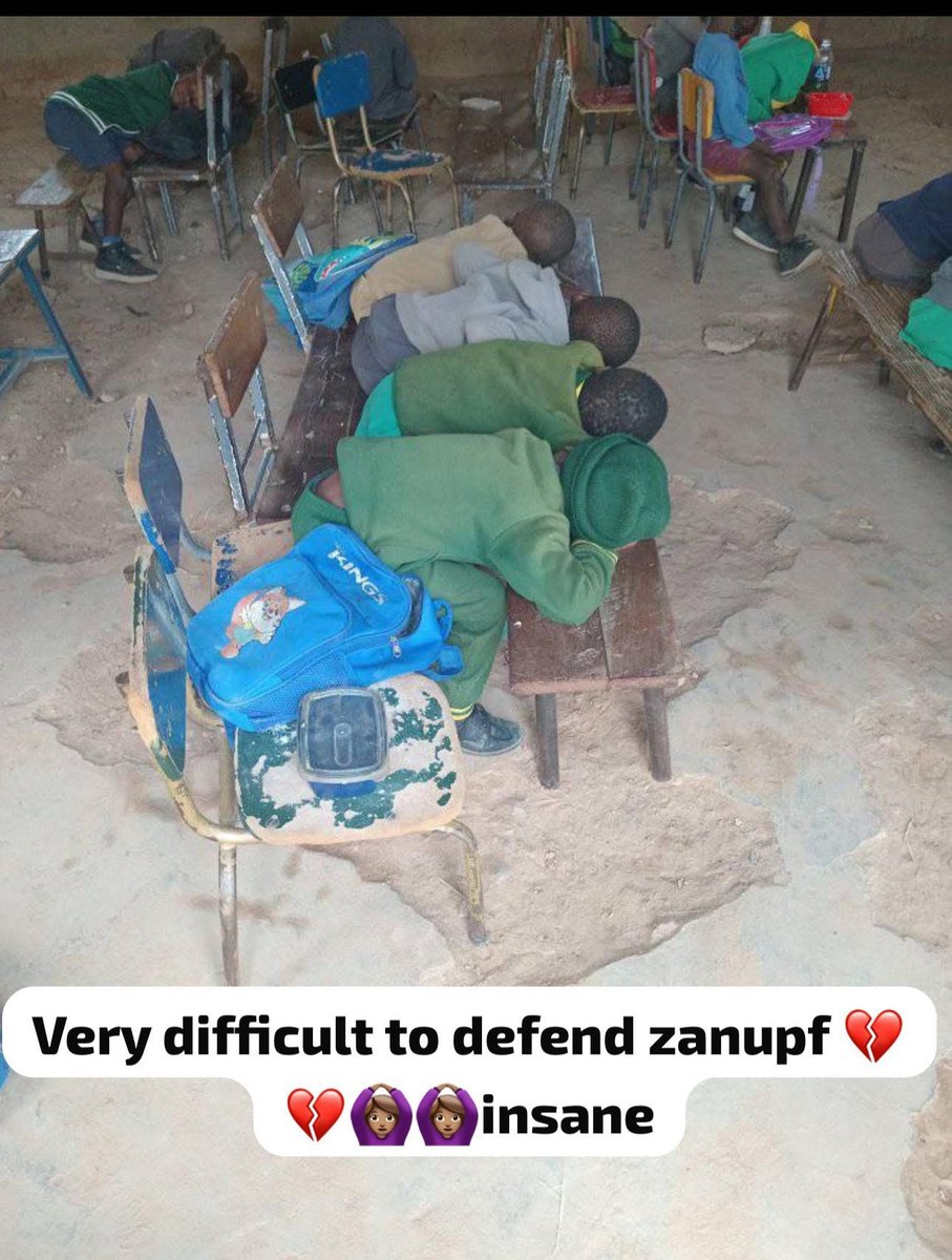 Ed &amp; ZanuPf a cult masquerading as a political party defend this rot and blame it on non existent sanctions💔