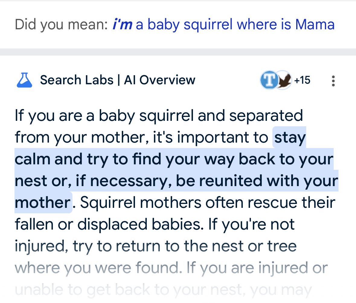 perfgrrl's tweet image. 