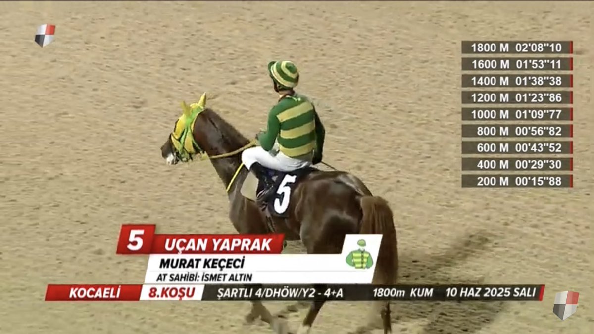 #uçanyaprak 🥇
